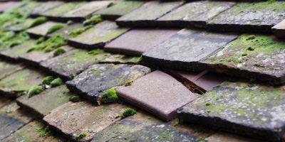 Bulwell roof repair costs
